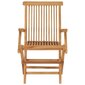 Dārza krēsli, 2 gab., 55x60x89 cm cena un informācija | Dārza krēsli | 220.lv