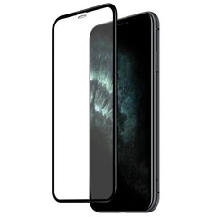 Riff 5D Защитное стекло для телефона на весь экран Apple iPhone XR / iPhone 11 Черное цена и информация | Защитные пленки для телефонов | 220.lv