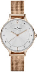 Часы для женщин Skagen Anita SKW 2151 цена и информация | Женские часы | 220.lv