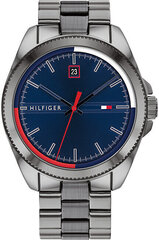 Tommy Hilfiger мужские часы Riley 1791687, серые цена и информация | Мужские часы | 220.lv