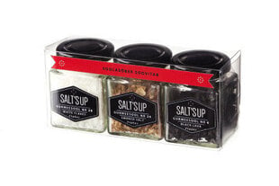 Salt'sUp подарочный набор из трех солей «Соляные хлопья» цена и информация | Специи, наборы специй | 220.lv