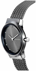 Часы для женщин Skagen Freja SKW2700 цена и информация | Женские часы | 220.lv