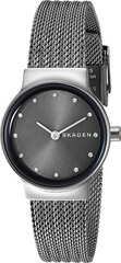 Часы для женщин Skagen Freja SKW2700 цена и информация | Женские часы | 220.lv