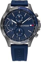 Vīriešu pulkstenis Tommy Hilfiger Bank 1791721 цена и информация | Мужские часы | 220.lv