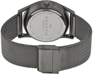 Мужские часы Skagen Holst SKW 6180 цена и информация | Мужские часы | 220.lv