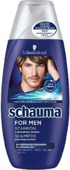 Matu šampūns vīriešiem Schauma for Men, 250 ml cena un informācija | Šampūni | 220.lv