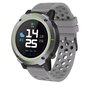 Denver SW-510 Grey цена и информация | Viedpulksteņi (smartwatch) | 220.lv