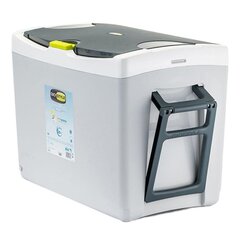 Термобокс Shiver 42 с охлаждающими элементами, 2х400 цена и информация | Сумки-холодильники | 220.lv