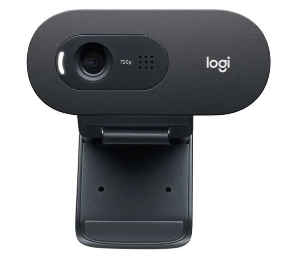 Logitech HD Webcam C505e Black цена и информация | Datoru (WEB) kameras | 220.lv