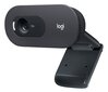 Logitech HD Webcam C505e Black cena un informācija | Datoru (WEB) kameras | 220.lv