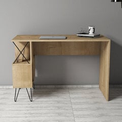 Письменный стол Extra, светло-коричневый цена и информация | Компьютерные, письменные столы | 220.lv