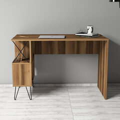 Письменный стол Extra, коричневый цена и информация | Компьютерные, письменные столы | 220.lv