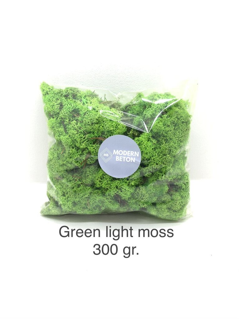 Stabilizētā sūna Green light 300 g. цена и информация | Stabilizētās rozes, augi | 220.lv