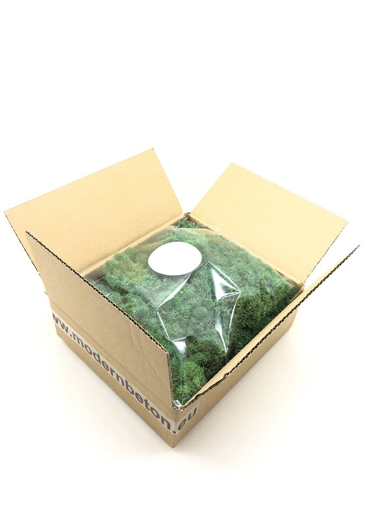 Stabilizētā sūna Green grass 300 gr. цена и информация | Stabilizētās rozes, augi | 220.lv