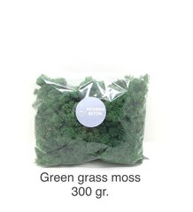 Stabilizētā sūna Green grass 300 gr. цена и информация | Спящие стабилизированные розы, растения | 220.lv