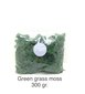 Stabilizētā sūna Green grass 300 gr. cena un informācija | Stabilizētās rozes, augi | 220.lv