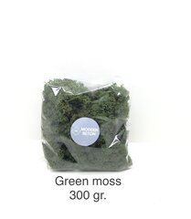 Стабилизированный мох  Green moss 300 гр. цена и информация | Спящие стабилизированные розы, растения | 220.lv