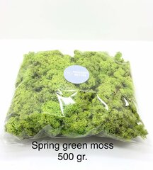 Stabilizētā sūna Spring green 500 g. цена и информация | Спящие стабилизированные розы, растения | 220.lv