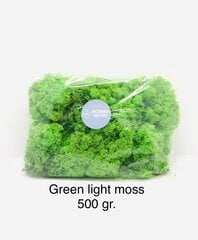 Stabilizētā sūna Green light 500 g. цена и информация | Спящие стабилизированные розы, растения | 220.lv