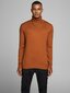 Vīriešu džemperis Jack&Jones Jjeemil Knit Roll Neck 12157417 cena un informācija | Vīriešu džemperi | 220.lv