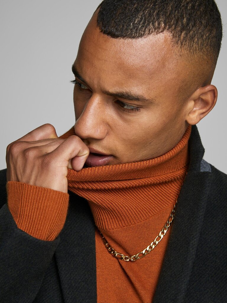 Vīriešu džemperis Jack&Jones Jjeemil Knit Roll Neck 12157417 cena un informācija | Vīriešu džemperi | 220.lv