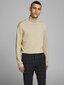 Vīriešu džemperis Jack&Jones Jjeemil Knit Roll Neck 12157417 cena un informācija | Vīriešu džemperi | 220.lv