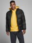 Vīriešu jaka Jack&Jones Jjdrew Puffer Collar LTN 12173866 cena un informācija | Vīriešu virsjakas | 220.lv