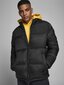 Vīriešu jaka Jack&Jones Jjdrew Puffer Collar LTN 12173866 cena un informācija | Vīriešu virsjakas | 220.lv