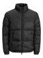 Vīriešu jaka Jack&Jones Jjdrew Puffer Collar LTN 12173866 cena un informācija | Vīriešu virsjakas | 220.lv