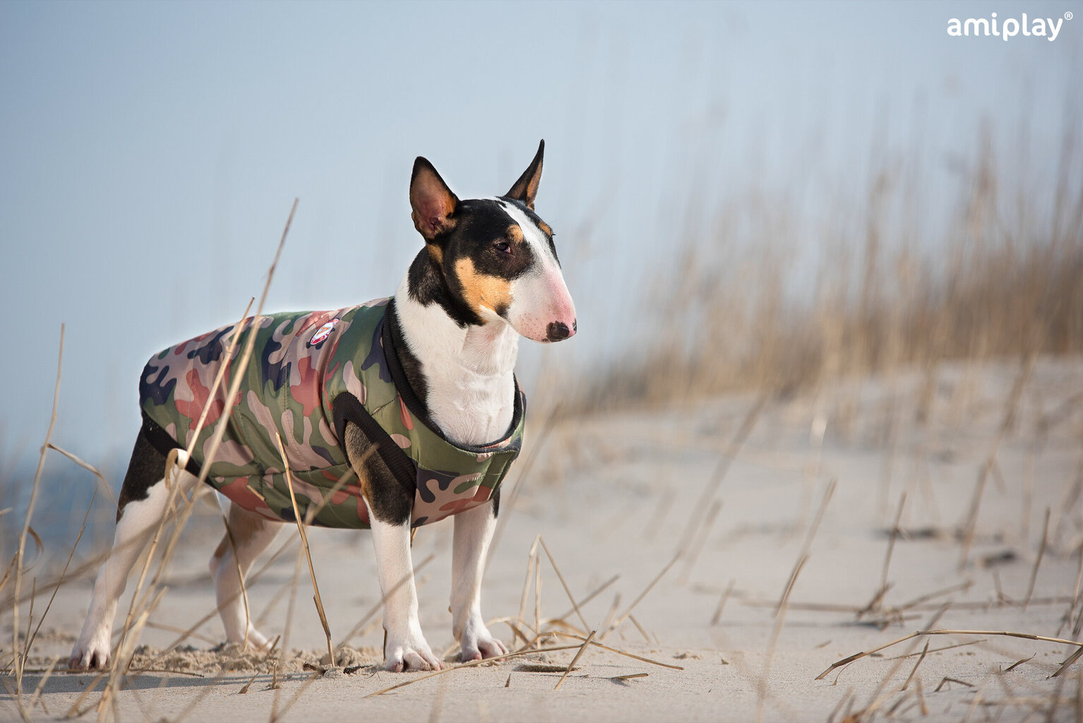 Amiplay jaka Bronx, 46 cm, zaļa/pelēka cena un informācija | Apģērbi suņiem | 220.lv