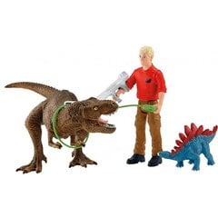 Атака динозавра Tyrannosaurus Rex Dinosaurs Schleich, 41465 цена и информация | Конструктор автомобилей игрушки для мальчиков | 220.lv