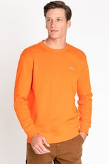 Sporta džemperis LEE cena un informācija | Vīriešu džemperi | 220.lv