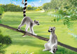 70355 PLAYMOBIL® Family Fun Lemuri cena un informācija | Konstruktori | 220.lv