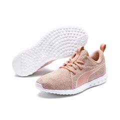 Treniņu apavi sievietēm Pink Puma Carson 2 Nature Knit Wn s cena un informācija | Sporta apavi sievietēm | 220.lv