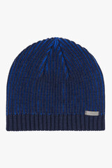 Зимняя шапка XINT цена и информация | Мужские шарфы, шапки, перчатки | 220.lv