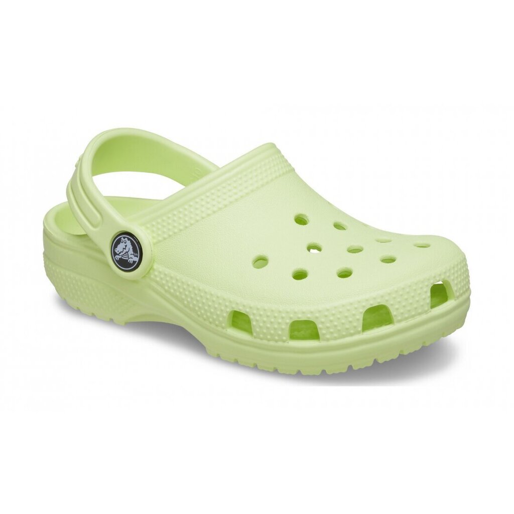 Crocs™ Kids' Classic Clog цена и информация | Gumijas klogi bērniem | 220.lv