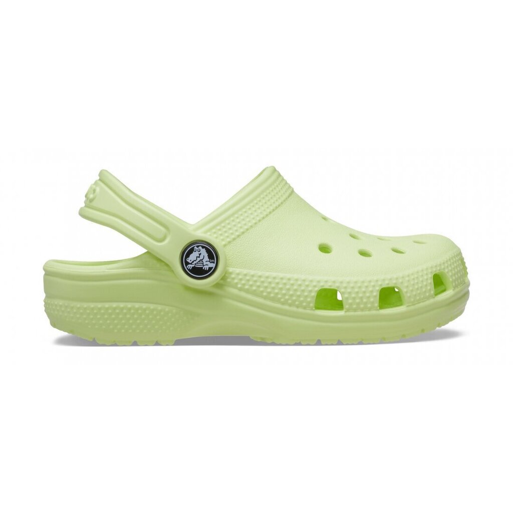 Crocs™ Kids' Classic Clog цена и информация | Gumijas klogi bērniem | 220.lv