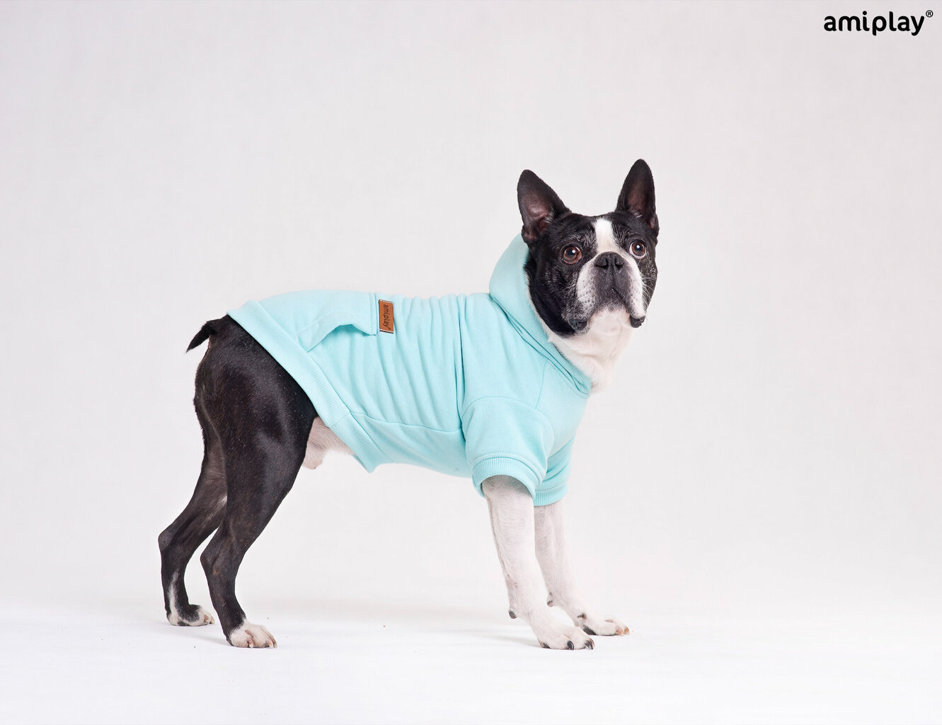 Amiplay džemperis ar kapuci Texas, XXL, zils цена и информация | Apģērbi suņiem | 220.lv