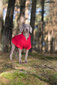 Amiplay džemperis ar kapuci Texas, XXL, sarkans cena un informācija | Apģērbi suņiem | 220.lv