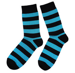 Мужские носки «Полоски» цена и информация | Мужские носки | 220.lv