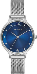 Часы женские Skagen цена и информация | Женские часы | 220.lv