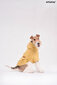 Amiplay džemperis ar kapuci Texas, XS, dzeltens cena un informācija | Apģērbi suņiem | 220.lv