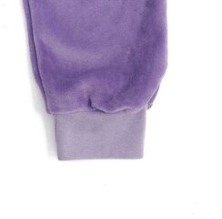Zīdaiņu velveta bikses, violetas cena un informācija | Zīdaiņu bikses | 220.lv