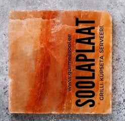 Salt&#039;sUp “L” izmēra sāls plāksne, 20x20x2.5 cm cena un informācija | Pārtikas piedevas | 220.lv