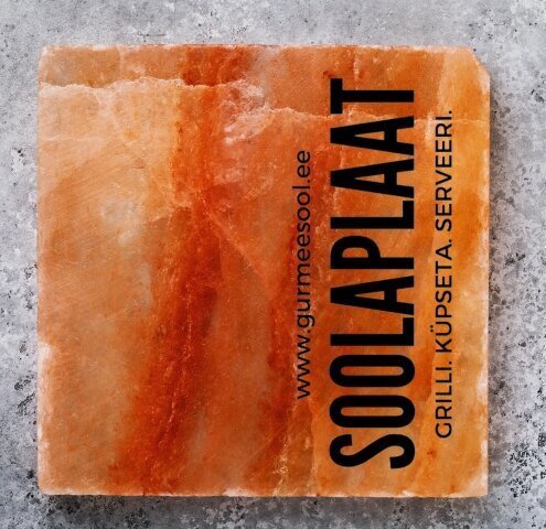 Salt'sUp “L” izmēra sāls plāksne, 20x20x2.5 cm cena un informācija | Garšvielas, garšvielu komplekti | 220.lv