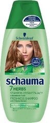 Atsvaidzinošs šampūns taukainiem un normāliem matiem Schwarzkopf Schauma 7 Herbs, 250 ml cena un informācija | Šampūni | 220.lv