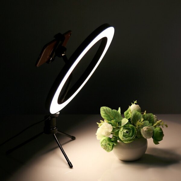 LED regulējama selfiju lampa 7W / 15,5 cm USB 5V-2A 3000K-6000K cena un informācija | Apgaismojums fotografēšanai | 220.lv