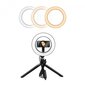 LED regulējama selfiju lampa 12W / 25,5 cm USB 5V-2A 3000K-6000K cena un informācija | Apgaismojums fotografēšanai | 220.lv
