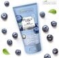 Attīrošas sejas putas Bielenda Blueberry C-TOX, 135 g цена и информация | Sejas ādas kopšana | 220.lv