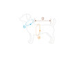 Amiplay krekliņš suņiem Miami, M, zils цена и информация | Apģērbi suņiem | 220.lv